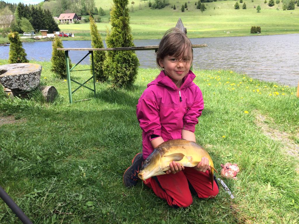 Appart Sölkhof Schöder Exteriör bild