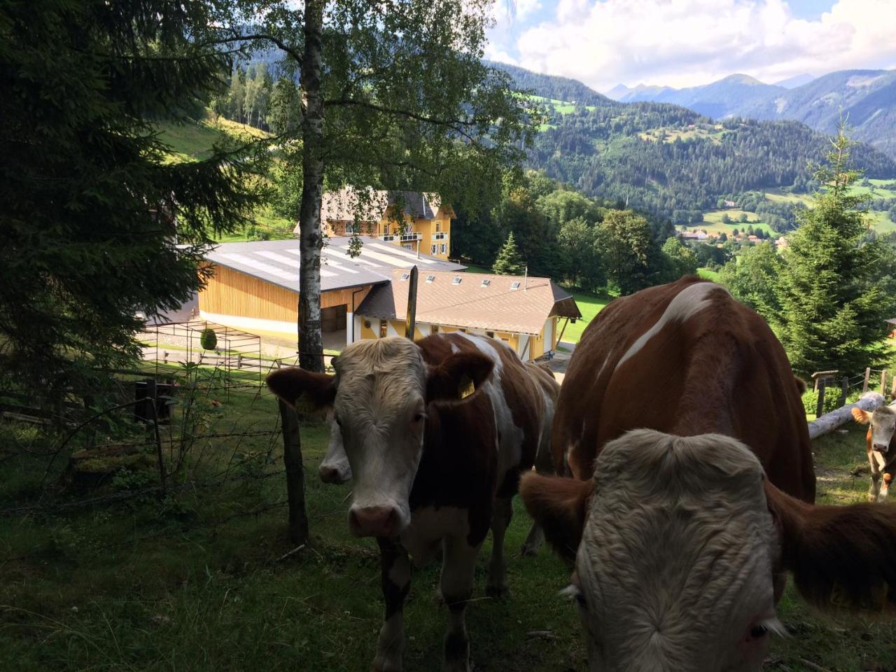 Appart Sölkhof Schöder Exteriör bild